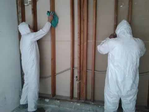 Technicians in protective suits wiping exposed wall studs during the mold remediation cleaning process